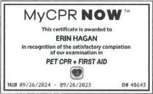 Pet CPR card